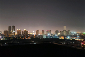 对话与交流：上海残障人士的公共参与